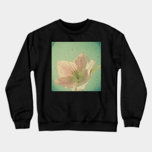 Nostalgia Crewneck Sweatshirt